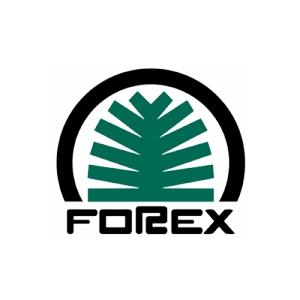 FOREX AMOS INC.